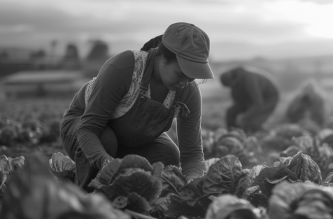 brahmative industries agriculture